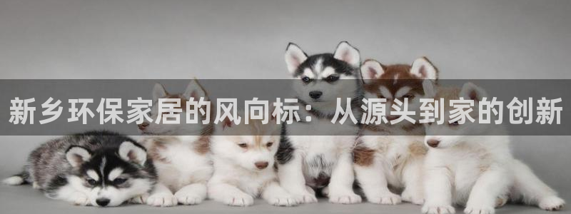 杏宇主管qq