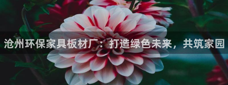 杏宇平台的专用通道