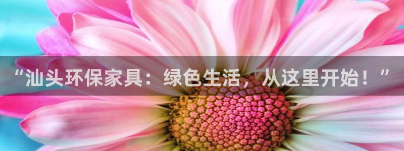 杏宇平台首页：“汕头环保家具：绿色生活，从这里开始！”