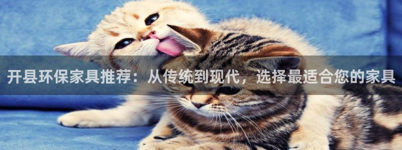 杏宇注册杏宇登陆：开县环保家具推荐：从传统到现代，选择最适合