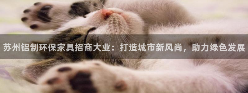 杏宇平台已7O777：苏州铝制环保家具招商大业：打造城市新风