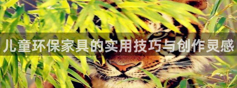 杏宇平台登录入口：儿童环保家具的实用技巧与创作灵感