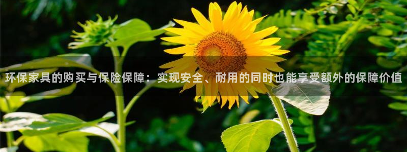 杏宇注册中心：环保家具的购买与保险保障：实现安全、耐用的同时