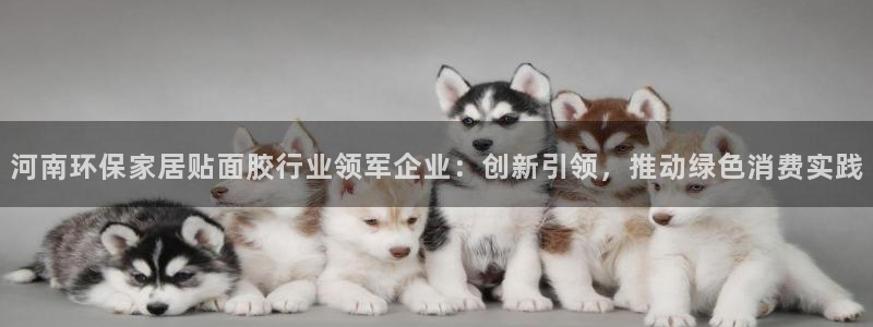杏宇官网app：河南环保家居贴面胶行业领军企业：创新引领，推