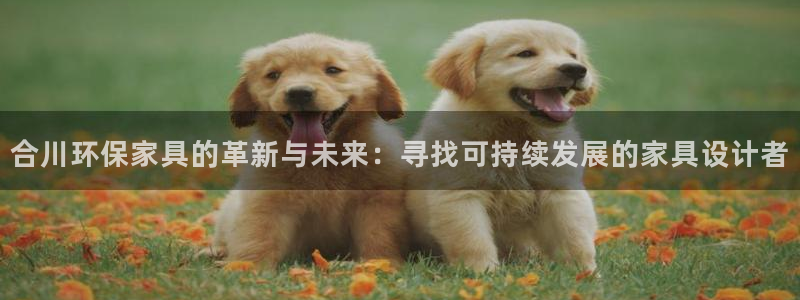 杏宇测速娱乐：合川环保家具的革新与未来：寻找可持续发展的家具