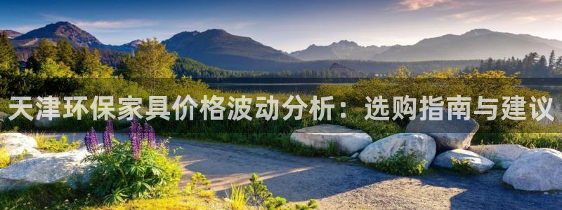 杏宇代理官网：天津环保家具价格波动分析：选购指南与建议