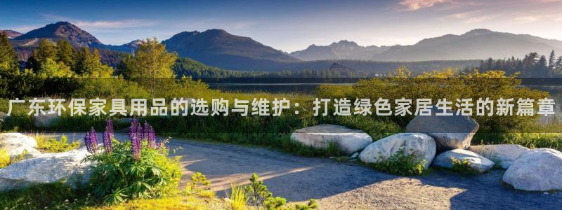 杏宇平台是真的吗：广东环保家具用品的选购与维护：打造绿色家居